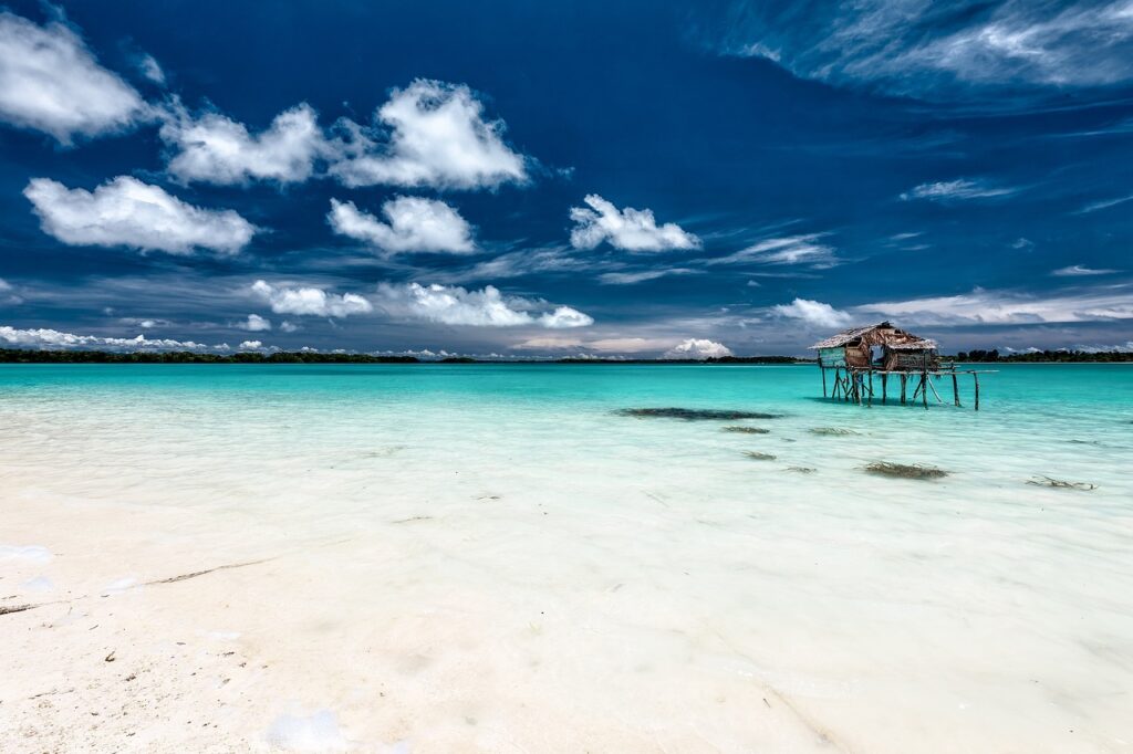 Une plage avec une eau turquoise