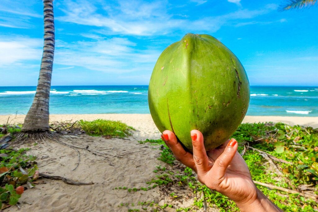 Une main tenant un noix de coco sur une plage aux Seychelles