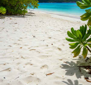 du sable fin a l'Île Sèche 