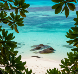 Une plage tranquille de l'Île Sèche 
