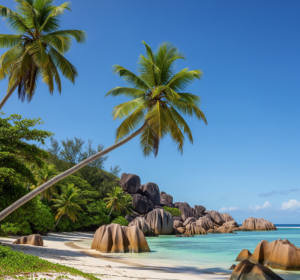 la plage à l'Île Chauve-Souris 